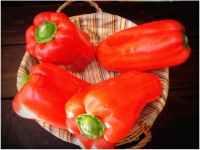 PIMIENTO LAMUYO ROJO KG