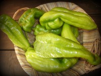 PIMIENTO ITALIANO KG