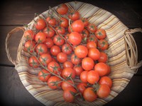 TOMATE CHERRY KG