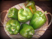 PIMIENTO VERDE KG