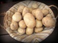 PATATAS KG